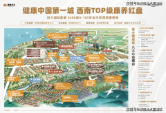 业IOT智能照护消息收集系统